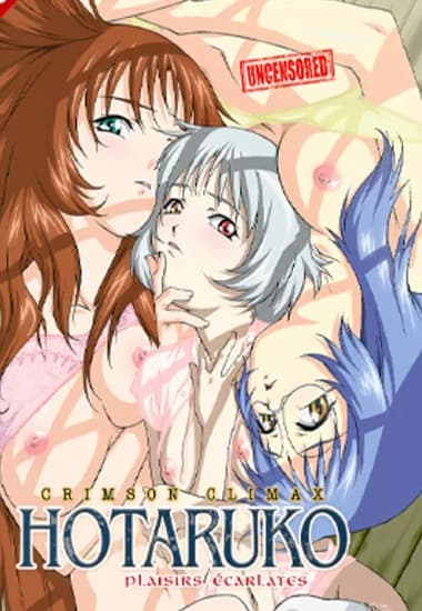 Hòn đảo bí ẩn và giáo phái dục vọng kinh hoàng- Xem Phim Sex Hentai 18+